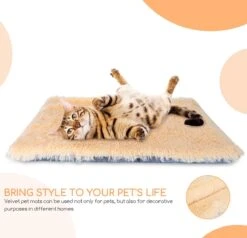 Nobleza Fluffy Benchkussen - Dierenkussen - Hondenkussen - Kattenkussen - Benchmat - Dierenmat - Hondenmat - Kattenmat - Crème - Maat L 18 Nobleza Fluffy Benchkussen - Dierenkussen - Hondenkussen - Kattenkussen - Benchmat - Dierenmat - Hondenmat - Kattenmat - Crème - Maat L -Hondenproducten 1200x1156 8