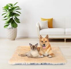 Nobleza Fluffy Benchkussen - Dierenkussen - Hondenkussen - Kattenkussen - Benchmat - Dierenmat - Hondenmat - Kattenmat - Crème - Maat L 20 Nobleza Fluffy Benchkussen - Dierenkussen - Hondenkussen - Kattenkussen - Benchmat - Dierenmat - Hondenmat - Kattenmat - Crème - Maat L -Hondenproducten 1200x1156 9