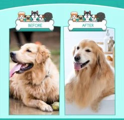 Nobleza 3 Delige Hondenborstel Set – Hondenkam - Kattenkam - Borstels – Dierverzorging - Dierenverzorging - Blauw -Hondenproducten 1200x1157