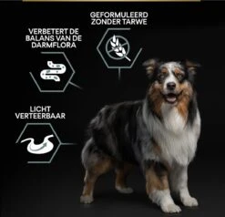 Pro Plan Graanvrij Medium & Large Adult Sensitive Digestion - Honden Droogvoer- Kalkoen - 12 Kg -Hondenproducten 1200x1157 6
