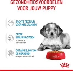 Royal Canin Shn Medium Puppy Pouch - Hondenvoer - 10 X 140 G 25 Royal Canin Shn Medium Puppy Pouch - Hondenvoer - 10 X 140 G -Hondenproducten 1200x1159 24