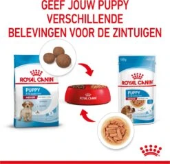 Royal Canin Shn Medium Puppy Pouch - Hondenvoer - 10 X 140 G 27 Royal Canin Shn Medium Puppy Pouch - Hondenvoer - 10 X 140 G -Hondenproducten 1200x1159 25