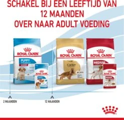 Royal Canin Shn Medium Puppy Pouch - Hondenvoer - 10 X 140 G 31 Royal Canin Shn Medium Puppy Pouch - Hondenvoer - 10 X 140 G -Hondenproducten 1200x1160 2