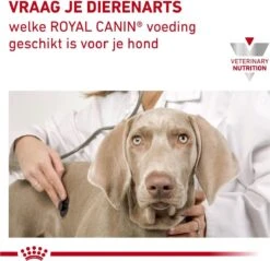 Royal Canin Hond Urinary SO 13 Kg - -Hondenproducten 1200x1161 12
