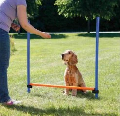 Trixie Dog Activity Agility Horde - Blauw/Oranje - 123 X 115 X 3 Cm 12 Trixie Dog Activity Agility Horde - Blauw/Oranje - 123 X 115 X 3 Cm -Hondenproducten 1200x1163 13