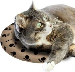 Snugglesafe Warmteschijf Hond/Kat - 24 Cm 7 Snugglesafe Warmteschijf Hond/Kat - 24 Cm -Hondenproducten 1200x1163 17