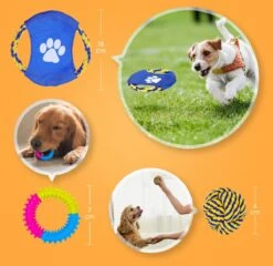 Nobleza Honden Speelgoed Set PLJ - 10 Stuks 19 Nobleza Honden Speelgoed Set PLJ - 10 Stuks -Hondenproducten 1200x1165 15