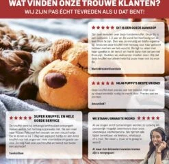 Vulpes Pets® Knuffel Hond Met Hartslag – Puppyknuffel - Hondenknuffel Voor Puppy - Snuggle Puppy - Knuffel Met Hartslag En Gratis Warmte Pad Speciaal Voor Puppy's -Hondenproducten 1200x1167 17