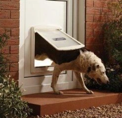 Petsafe 760 Hondenluik - L - Wit - 37 X 31,4 Cm 24 Petsafe 760 Hondenluik - L - Wit - 37 X 31,4 Cm -Hondenproducten 1200x1168 10