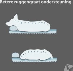 PETKIT® Deep Sleep Bed - Hondenmand - Kattenmand - Memory Foam - Orthopedisch - Maat M -Hondenproducten 1200x1168 15