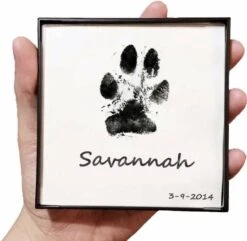 Merkloos Paw Print Pad - Pootafdruk Maken Van Hond Of Kat -Hondenproducten 1200x1169 6