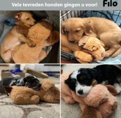 Filo Hondenknuffel Met Hartslag En Warmtebron - Hartslagknuffel Hondenspeelgoed Snuggle Puppy - Knuffel Met Hartslag - Heartbeat Knuffel Hond -Hondenproducten 1200x1170 10