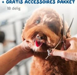 Pawwy Dieren Tondeuse Set Draadloos Voor Honden En Katten – Voor Dikke Vacht - Hondentondeuse – Hondentrimmer - Scheerapparaat - Goud -Hondenproducten 1200x1170 4