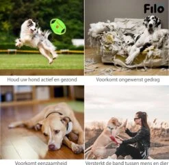 Filo Honden Speelgoed Set 14 Stuks - Hondenspeeltjes Knuffel - Hondenbal - Flostouw - Bot - Frisbee - Hondentouw - Hondenspeelgoed Intelligentie - Kauwspeelgoed Hond En Puppy - Bijtspeelgoed Hondenknuffel - Hondenspeeltje Met Piep -Hondenproducten 1200x1171 10