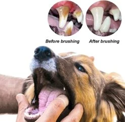 Doodadeals® 4 Stuks Siliconen Honden Tandenborstel - Tanden Borstel Hond - Silicone Dog Tootbrush - Multikleur -Hondenproducten 1200x1175 13