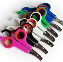 Doodadeals® | Nagelschaar Kat | Nagelschaar Hond | Nagelschaar Konijn | Nagelschaar Cavia | Multi Color | 1 Stuk -Hondenproducten 1200x1178 4