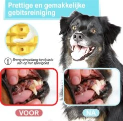 Merkloos Corn Dog Toothbrush - Honden Speelgoed - Hondenspeelgoed - Honden Tandenborstel - Gezond Dieet - Hondenspeeltje - Honden Speelgoed Intelligentie 17 Merkloos Corn Dog Toothbrush - Honden Speelgoed - Hondenspeelgoed - Honden Tandenborstel - Gezond Dieet - Hondenspeeltje - Honden Speelgoed Intelligentie -Hondenproducten 1200x1179 7