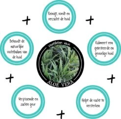 Greenfields Vacht Verzorging Set Voor Honden Shampoo, Conditioner & Droogshampoo -Hondenproducten 1200x1182 2