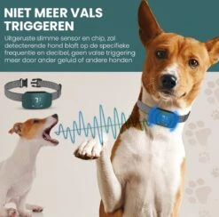 Salvano Anti Blafband - Blafband Voor Honden - Opvoedingshalsbanden - Voor Kleine En Grote Honden - Anti Blafband Zonder Schok- Oplaadbaar - Anti Blaf Apparaat - Blafband - Diervriendelijk -Hondenproducten 1200x1183 3