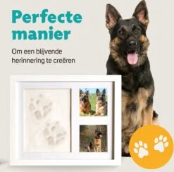 Honden Fotolijst Met Kleiafdruk - Gipsafdruk - Speelgoed Voor Dieren - Pootafdruk Hond - Puppy Speelgoed - Gipsafdruk Huisdier -Hondenproducten 1200x1186 19