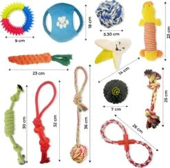 Luxury Diversity - Honden Speelgoed - 12 Honden Speeltjes - Puppy Speelgoed - Honden - Honden Speelgoed Intelligentie 13 Luxury Diversity - Honden Speelgoed - 12 Honden Speeltjes - Puppy Speelgoed - Honden - Honden Speelgoed Intelligentie -Hondenproducten 1200x1187 11