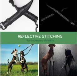 Nobleza Splitter Hondenriem - Dubbel Aanlijnriem Voor Honden - Splitter Verstelbaar - Zwart -Hondenproducten 1200x1187 6