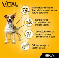 Pedigree Natvoer Mixed Selection 84 X 100 G. Kip, Runds, Kalkoen En Lams - Hondenvoeding -Compleet Nat Hondenvoer. -Hondenproducten 1200x1187 9