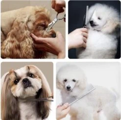 VoordeelShop 7-Delige Huisdier Knipset Met Etui - Trimmen Hond - Honden Schaar - Effileerschaar Hond - Huisdier Trimmer - Huisdier Knippen - Knipschaar Haar - Haar Schaar - Kapper - Kapperset - Scharenset 31 VoordeelShop 7-Delige Huisdier Knipset Met Etui - Trimmen Hond - Honden Schaar - Effileerschaar Hond - Huisdier Trimmer - Huisdier Knippen - Knipschaar Haar - Haar Schaar - Kapper - Kapperset - Scharenset -Hondenproducten 1200x1190 6