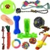 Filo Honden Speelgoed Set 14 Stuks - Hondenspeeltjes Knuffel - Hondenbal - Flostouw - Bot - Frisbee - Hondentouw - Hondenspeelgoed Intelligentie - Kauwspeelgoed Hond En Puppy - Bijtspeelgoed Hondenknuffel - Hondenspeeltje Met Piep -Hondenproducten 1200x1191 13