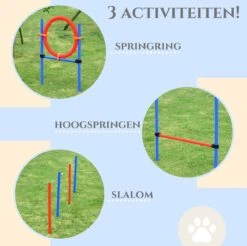 Merkloos Honden Agility Set - 23-delig - Agility Voor De Hond - Agility - Honden Parcours - Honden Training - Rood/Blauw 10 Merkloos Honden Agility Set - 23-delig - Agility Voor De Hond - Agility - Honden Parcours - Honden Training - Rood/Blauw -Hondenproducten 1200x1196 25