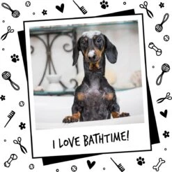 Bugalugs - Hondenshampoo - One In A Million - Alle Vachttypes - Fles Met Pompje - Vegan - 500 Ml 21 Bugalugs - Hondenshampoo - One In A Million - Alle Vachttypes - Fles Met Pompje - Vegan - 500 Ml -Hondenproducten 1200x1196 7