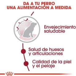 Royal Canin Medium Ageing 10+ - Hondenvoer - 15 Kg 22 Royal Canin Medium Ageing 10+ - Hondenvoer - 15 Kg -Hondenproducten 1200x1197 18