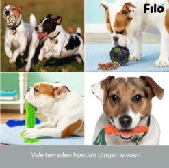 Filo Honden Speelgoed Set 14 Stuks - Hondenspeeltjes Knuffel - Hondenbal - Flostouw - Bot - Frisbee - Hondentouw - Hondenspeelgoed Intelligentie - Kauwspeelgoed Hond En Puppy - Bijtspeelgoed Hondenknuffel - Hondenspeeltje Met Piep -Hondenproducten 1200x1197 24