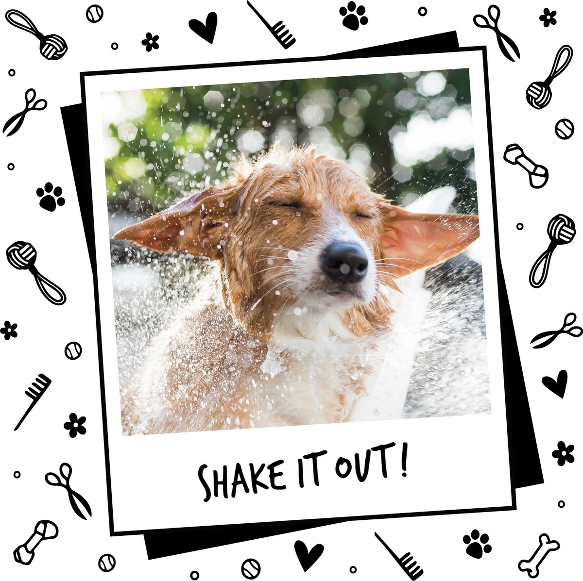 Bugalugs - Hondenshampoo - One In A Million - Alle Vachttypes - Fles Met Pompje - Vegan - 500 Ml 7 Bugalugs - Hondenshampoo - One In A Million - Alle Vachttypes - Fles Met Pompje - Vegan - 500 Ml - Afbeelding 5