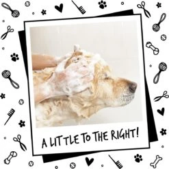 Bugalugs - Hondenshampoo - One In A Million - Alle Vachttypes - Fles Met Pompje - Vegan - 500 Ml 23 Bugalugs - Hondenshampoo - One In A Million - Alle Vachttypes - Fles Met Pompje - Vegan - 500 Ml -Hondenproducten 1200x1197 9