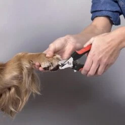 Merkloos Professionele Nagelschaar - Dieren Nagelschaar - Rood & Zwart - Honden Nagelknipper - Hondennagels - Honden Knip Schaar - Honden Knipsch -Hondenproducten 1200x1198 14