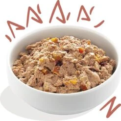 11x Edgard & Cooper Kuipje Vers Vlees Senior Hondenvoer Kip - Zalm 150 Gr -Hondenproducten 1200x1198 23