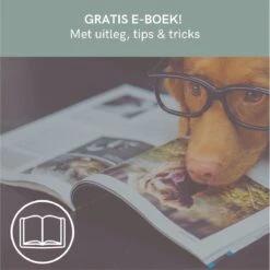 Comfort Company Praatknop Hond | Dogbuttons – Honden Speelgoed | Honden Speelgoed Intelligentie | 4 Stuks | Agility Voor De Hond | 30 Seconden Opnamen | Honden Training -Hondenproducten 1200x1198 24