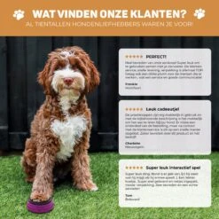 Vulpes Pets® PRO Praatknop Voor Honden - Dogbuttons - Laat Uw Huisdier Spreken - Hondenspeelgoed - Honden Training - Incl. E-Book & Trainingsstickers -Hondenproducten 1200x1198 25