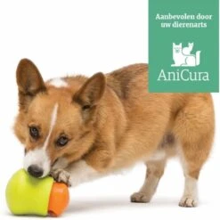 West Paw Toppl Zogoflex - Uitdagend En Sterk Speelgoed Voor Honden - Slowfeeder - Vulbaar Met Voer Of Snacks - Kleur: Groen, Maat: Large -Hondenproducten 1200x1198 30