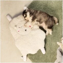 Beeztees Puppy Sjiepo - Hondenspeelgoed - Wit - 40x22x5 Cm -Hondenproducten 1200x1198 31