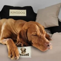Kingdog - Honden- En Kattenbed 55 X 45 | Zwart - Maat S -Hondenproducten 1200x1198 33