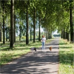 Rebel Petz - Dubbele Verstelbare Hondenriem Voor Twee Honden - Met Draaibare Sluiting En Zacht Handvat - Small En Large - Large (140 Cm Lang, Ø 12 Mm) -Hondenproducten 1200x1199 1