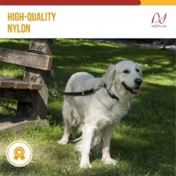 Happilax Dog Leash 2m Adjustable - Black/Reflective - 3-Step Adjustable Leash - Double Leash, Tug Leash - Geschikt Als Hondenriem Voor Grote Honden Of Als Sleepriem Voor Kleine Honden. 12 Happilax Dog Leash 2m Adjustable - Black/Reflective - 3-Step Adjustable Leash - Double Leash, Tug Leash - Geschikt Als Hondenriem Voor Grote Honden Of Als Sleepriem Voor Kleine Honden. -Hondenproducten 1200x1199