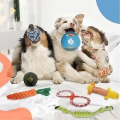 Luxury Diversity - Honden Speelgoed - 12 Honden Speeltjes - Puppy Speelgoed - Honden - Honden Speelgoed Intelligentie 14 Luxury Diversity - Honden Speelgoed - 12 Honden Speeltjes - Puppy Speelgoed - Honden - Honden Speelgoed Intelligentie -Hondenproducten 1200x1199 25