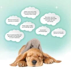 Cozy Dog Bunny Hondenknuffel – Knuffel Hond Met Hartslag – Hondenspeelgoed Vermindert Verlatingsangst – Biedt Rust, Warmte En Comfort – Bruin – Speciaal Voor Puppy's -Hondenproducten 1200x1199 31