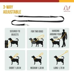 Happilax Dog Leash 2m Adjustable - Black/Reflective - 3-Step Adjustable Leash - Double Leash, Tug Leash - Geschikt Als Hondenriem Voor Grote Honden Of Als Sleepriem Voor Kleine Honden. 9 Happilax Dog Leash 2m Adjustable - Black/Reflective - 3-Step Adjustable Leash - Double Leash, Tug Leash - Geschikt Als Hondenriem Voor Grote Honden Of Als Sleepriem Voor Kleine Honden. -Hondenproducten 1200x1200 1