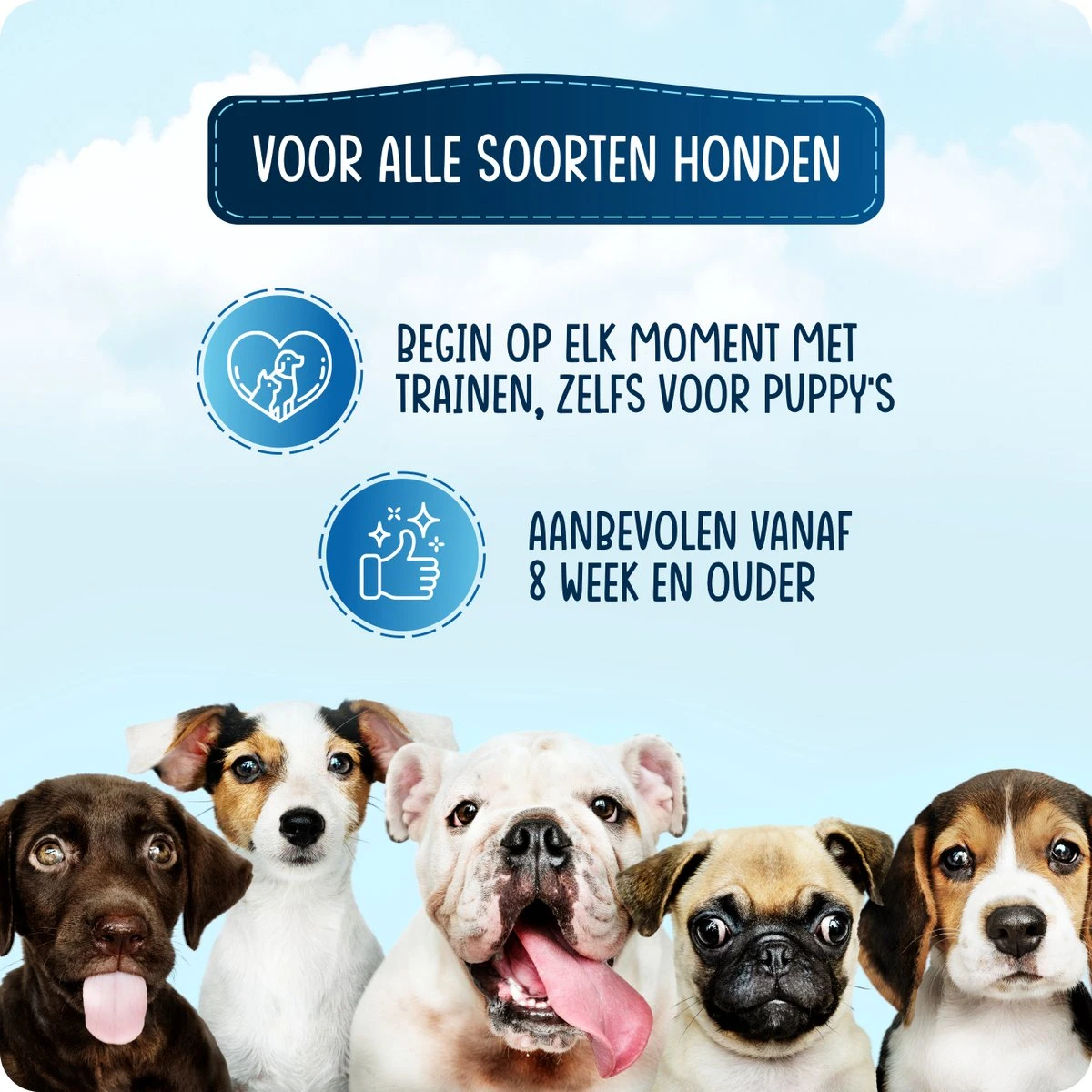 VEDIC® - Luxe Clicker Met Fluit - Clickertraining Voor Honden - Zwart - Bevestigingsring - Fluit - Hondentraining 9 VEDIC® - Luxe Clicker Met Fluit - Clickertraining Voor Honden - Zwart - Bevestigingsring - Fluit - Hondentraining - Afbeelding 7