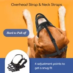 Nobleza Muilkorf Hond - Snuitomtrek 33 - Maat L - Zwart 12 Nobleza Muilkorf Hond - Snuitomtrek 33 - Maat L - Zwart -Hondenproducten 1200x1200 1015