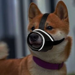 Merkloos Hoog Kwaliteit Muilkorf Met Bedrukt Patroon - Muilkorf Hond - Hondensnuit - Anti Blaf En Bijt - Voor Kleine En Grote Honden Maat M Zwart Reflecterend -Hondenproducten 1200x1200 1018